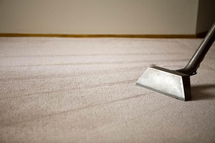 Steam Cleaning by Dynamic House & Carpet Cleaning