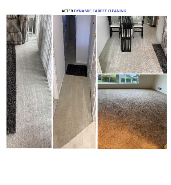 Carpet Cleaning Services in Atlantic City, NJ (1)