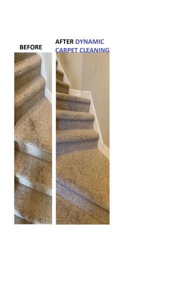 Carpet Shampooing in Egg Harbor Township, New Jersey by Dynamic House & Carpet Cleaning