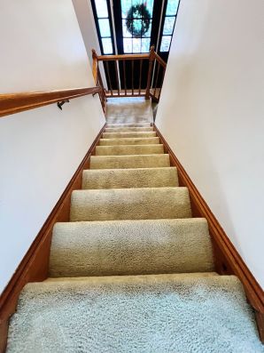 Carpet Cleaning Services in Galloway Township, NJ (3)
