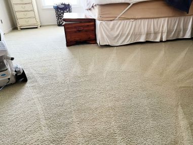 Carpet Cleaning Services in Galloway Township, NJ (1)