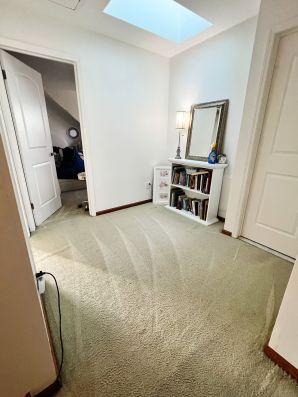 Carpet Cleaning Services in Galloway Township, NJ (4)